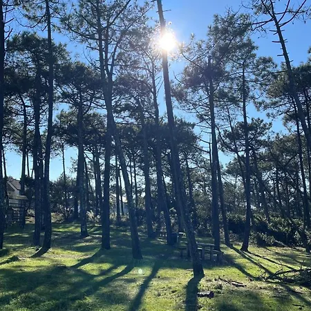 Lanas Natura * Moliets-et-Maa