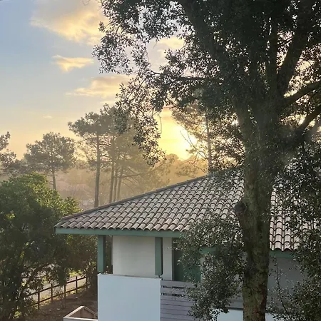 Lanas Natura * Мольез-е-Маа