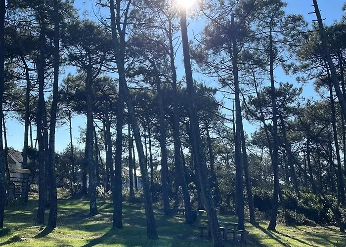 Lanas Natura * Moliets-et-Maa